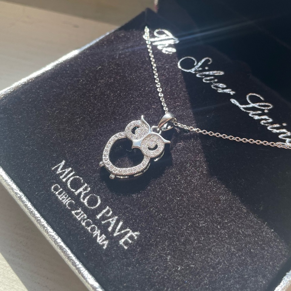 Owl Necklace, Pendant features Micro Pave Cubic Zirconia - NEW IN BOX!